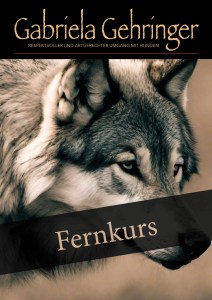 fernkurs
